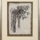 Framed print "Bamboo" by Ilse Buchert Nesbitt