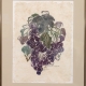 Framed print "Abundance" by Ilse Buchert Nesbitt