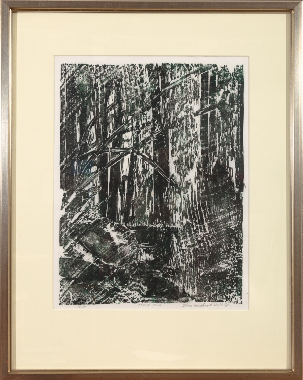 Framed print "Forest Pond" by Ilse Buchert Nesbitt