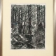 Framed print "Forest Pond" by Ilse Buchert Nesbitt