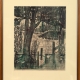 framed print "Mill Pond" by Ilse Buchert Nesbitt