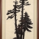 Framed print "Sequoia Sempervirens" by Ilse Buchert Nesbitt