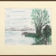 Framed print "Willow on the Lake" by Ilse Buchert Nesbitt