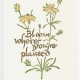 Bloom Where You're Planted notecard - woodcut by Ilse Buchert Nesbitt