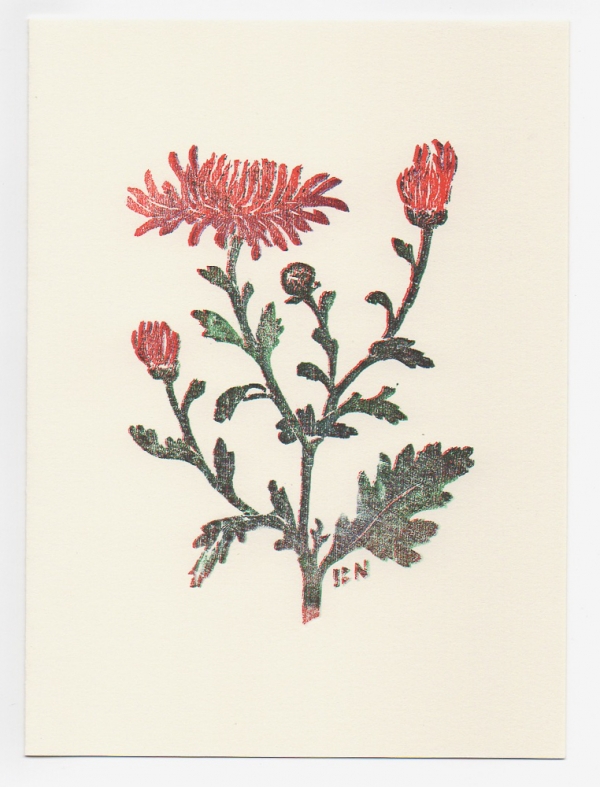 chrysanthemum notecard - woodcut by Ilse Buchert Nesbitt