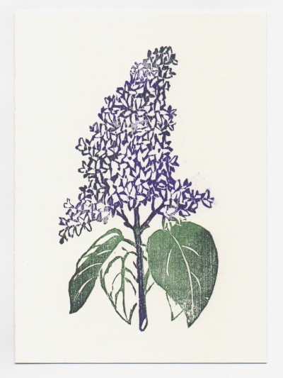 Lilac notecard - woodcut by Ilse Buchert Nesbitt
