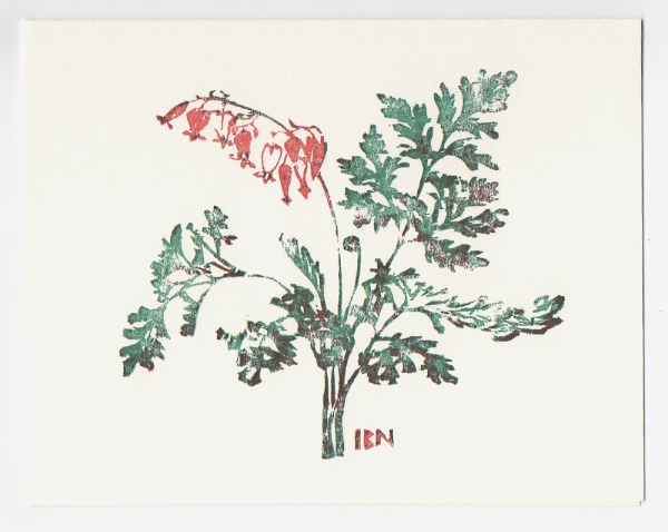 Wild Bleeding Heart notecard - woodcut by Ilse Buchert Nesbitt