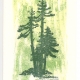 Sequoia holiday card, woodcut by Ilse Buchert Nesbitt