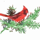 Cardinal Christmas Card